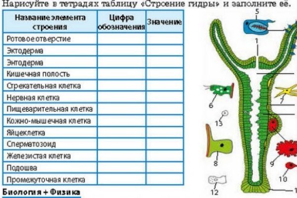 Как через сафари зайти на кракен