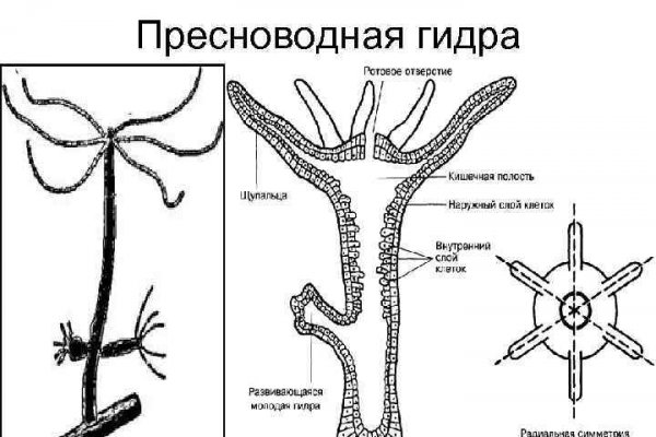 Вход на кракен