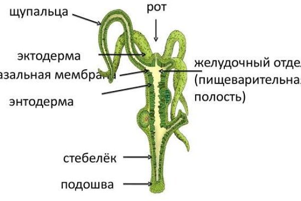 Браузер для кракен